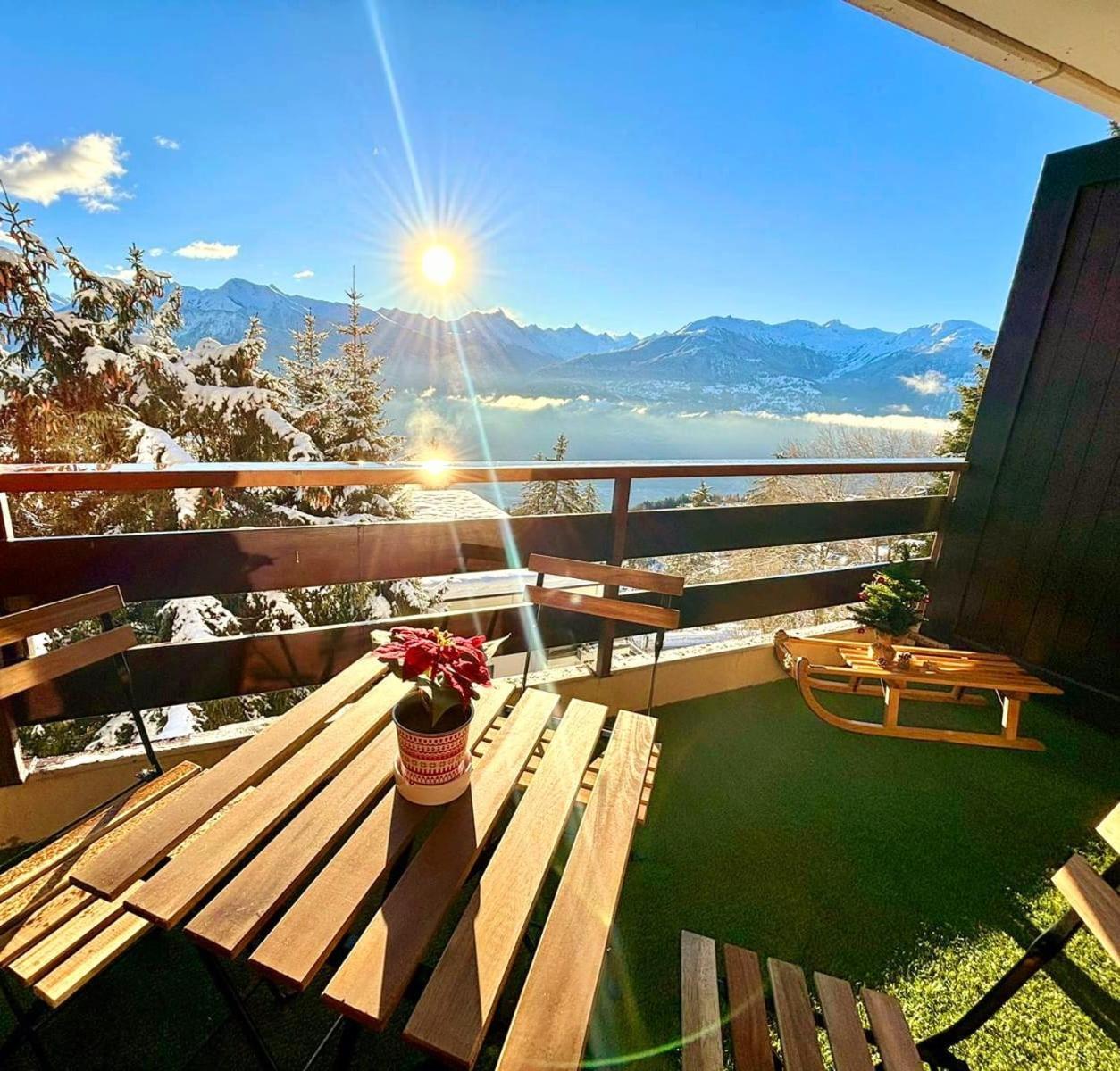 Vue Imprenable Sur Les Alpes Et Parking Prive Gratuit