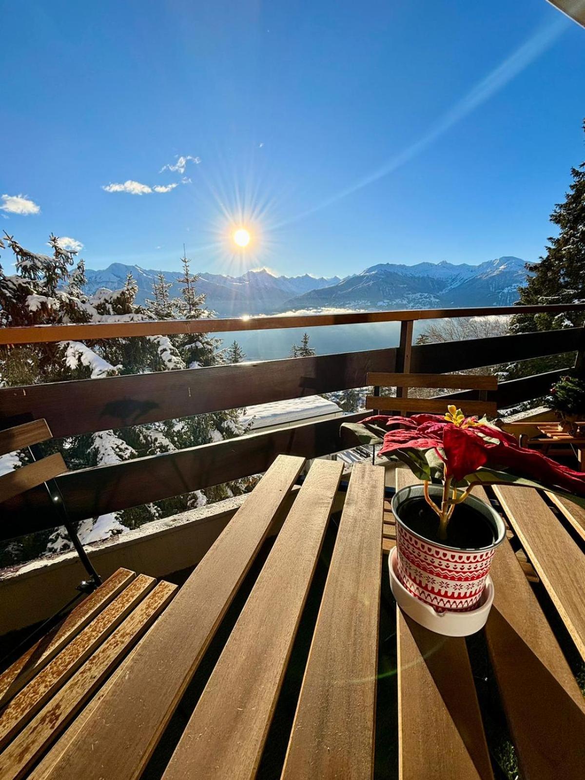 Vue Imprenable Sur Les Alpes Et Parking Prive Gratuit